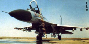 SU-27 "GRULLA"